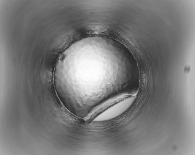 X0000094060657200711021447