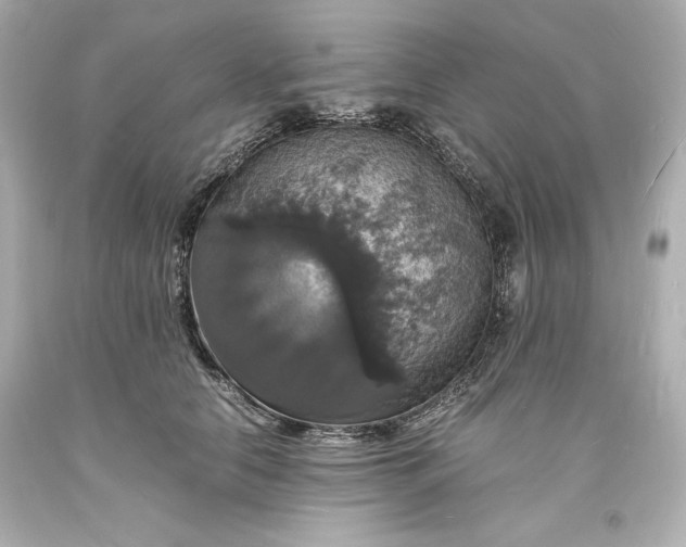 X0000094060658200711021447