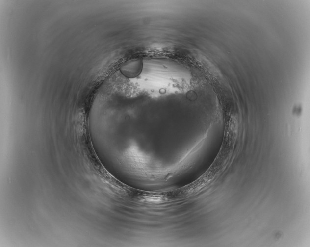 X0000094060659200711021447