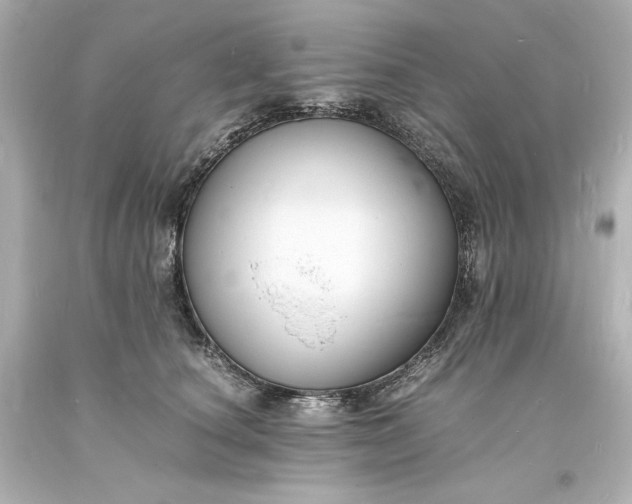 X0000094060660200711021447