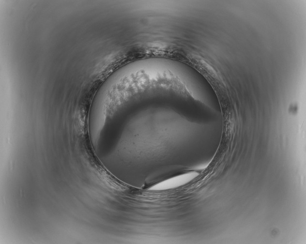 X0000094060661200711021447