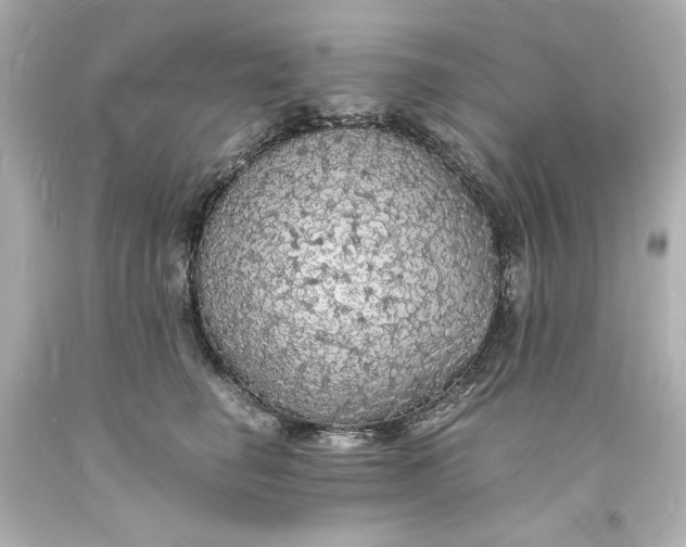 X0000094060662200711021447