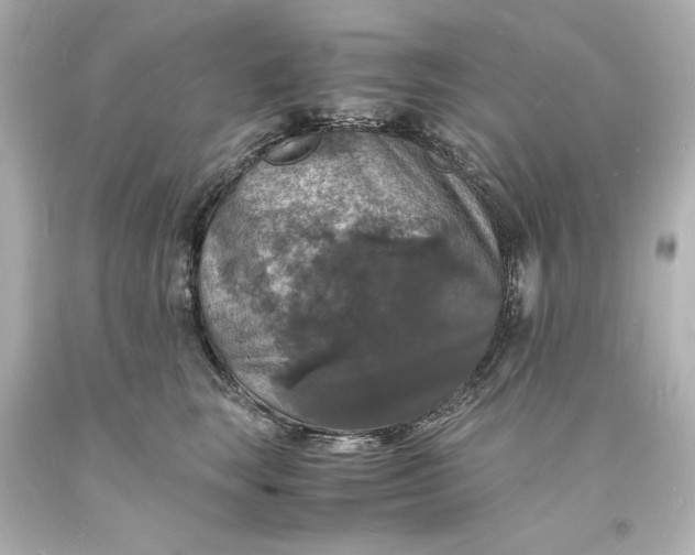 X0000094060663200711021447