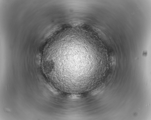 X0000094060664200711021447