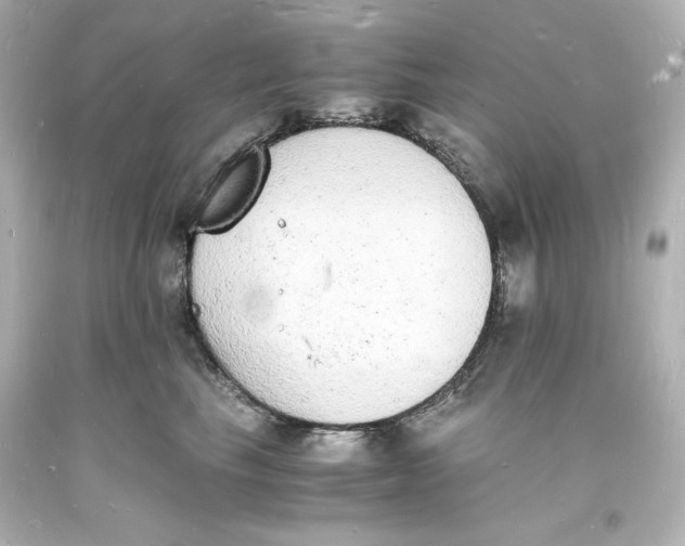 X0000094060665200711021447