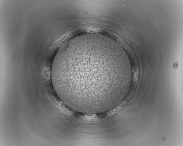 X0000094060666200711021447