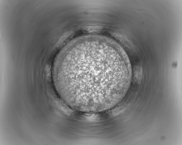 X0000094060667200711021447