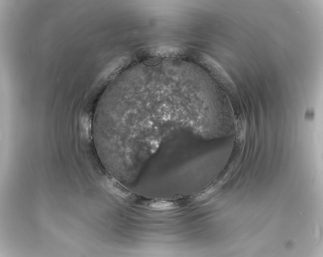 X0000094060669200711021447