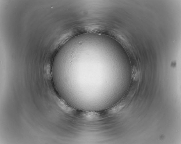 X0000094060670200711021447