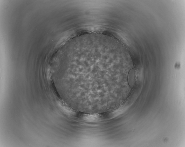 X0000094060671200711021447