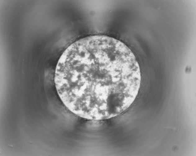 X0000094060672200711021447
