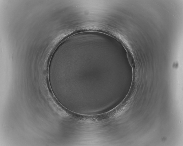 X0000094060673200711021446