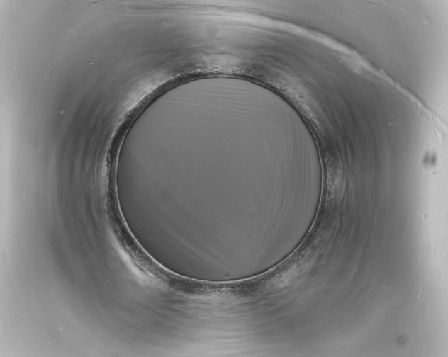 X0000094060674200711021446