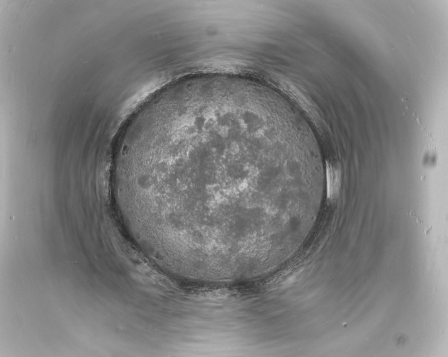 X0000094060675200711021446