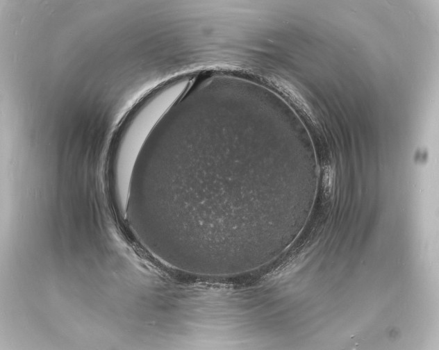 X0000094060676200711021446