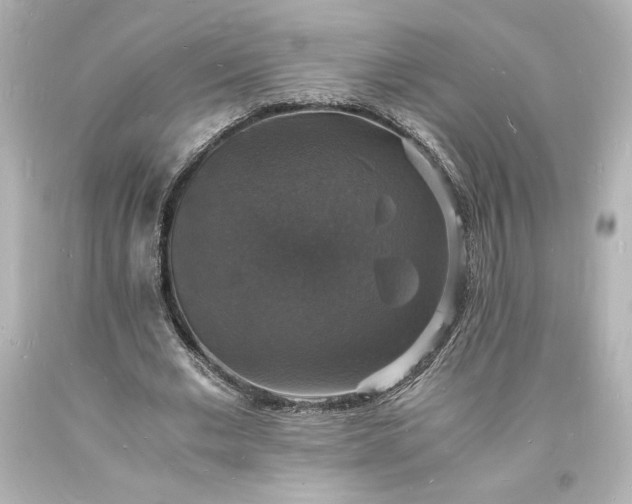 X0000094060677200711021446