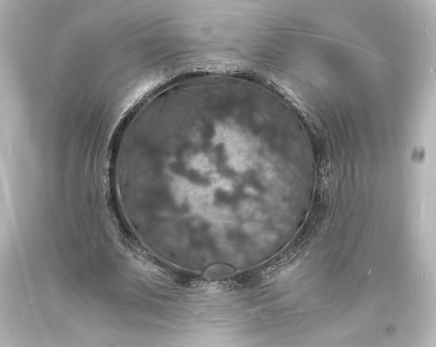 X0000094060679200711021446