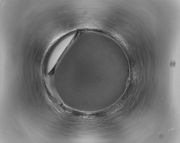X0000094060680200711021446