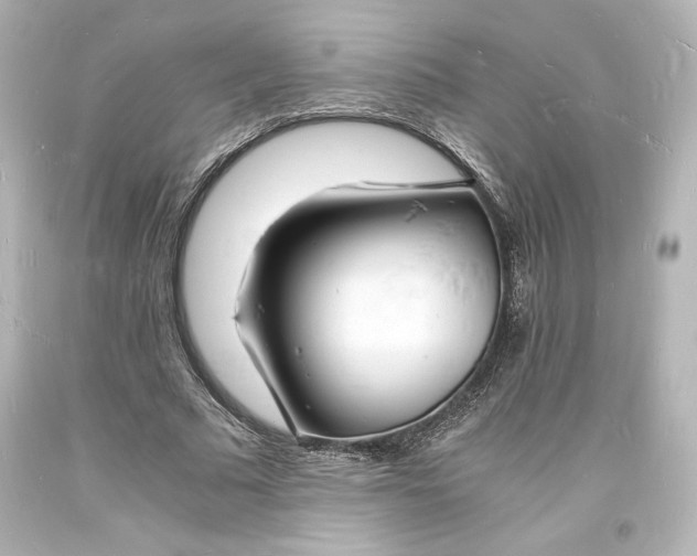 X0000094060681200711021446