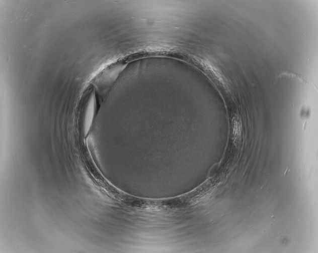 X0000094060684200711021446