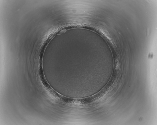 X0000094060685200711021446