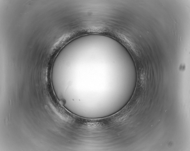 X0000094060686200711021446