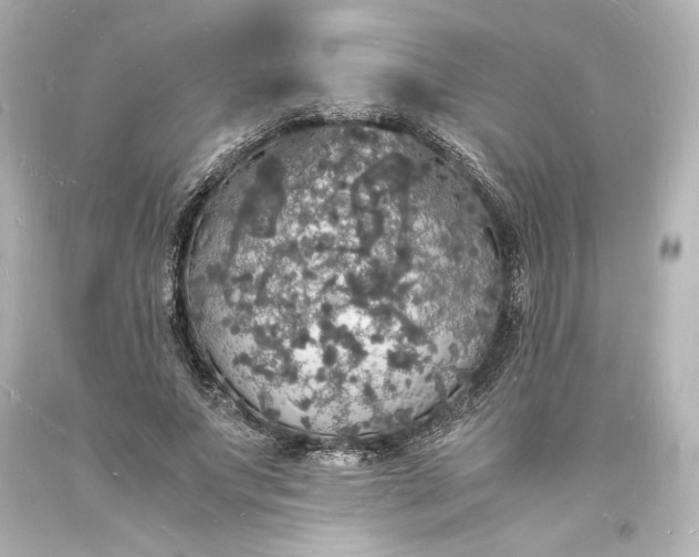 X0000094060687200711021446