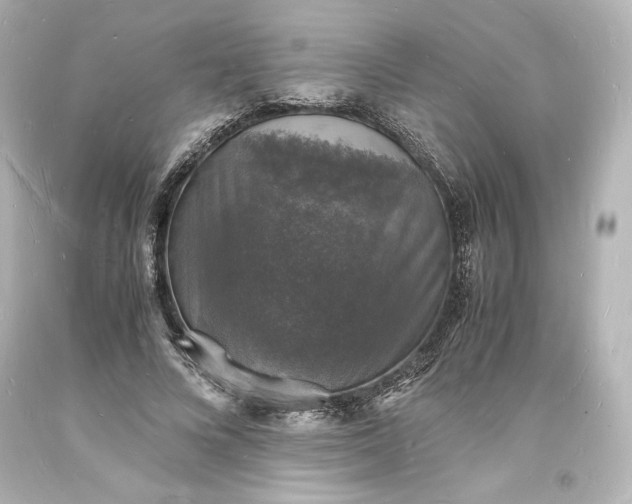 X0000094060688200711021446