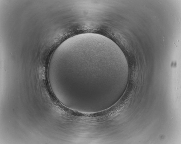 X0000094060689200711021446