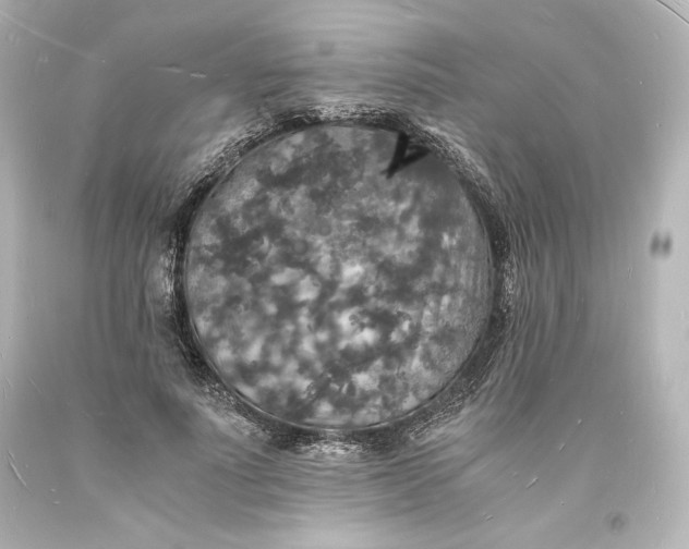 X0000094060691200711021446