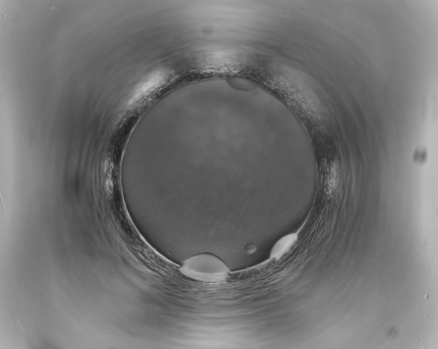 X0000094060692200711021446