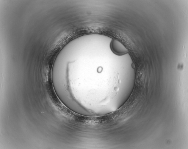 X0000094060694200711021446