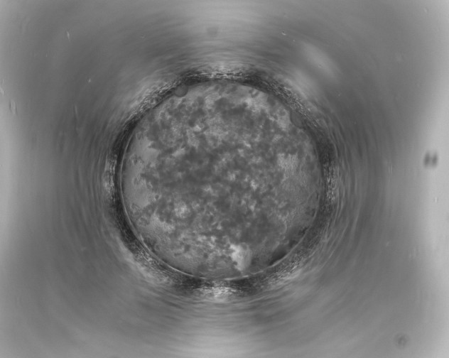 X0000094060695200711021446