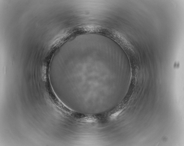 X0000094060696200711021446