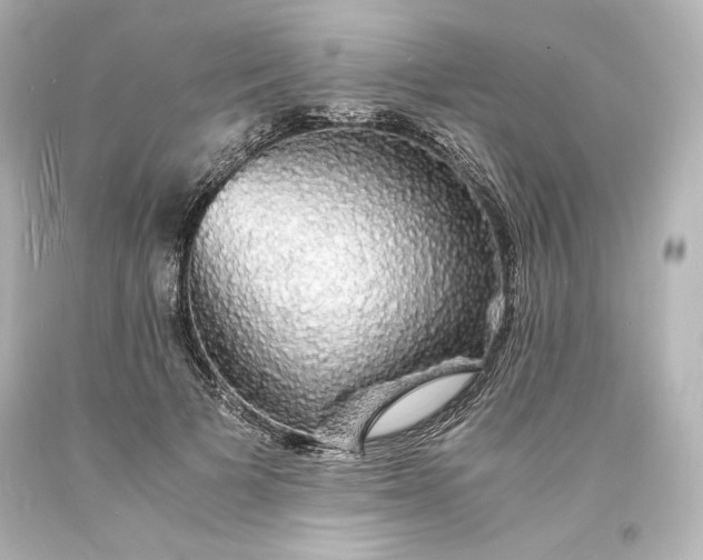 X0000094060697200711021446