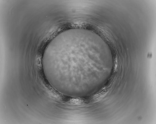 X0000094060699200711021446
