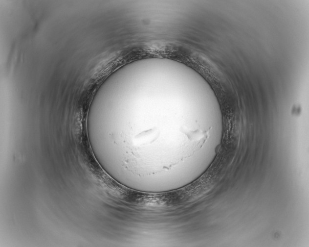 X0000094060702200711021446