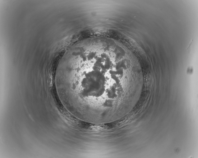 X0000094060703200711021446