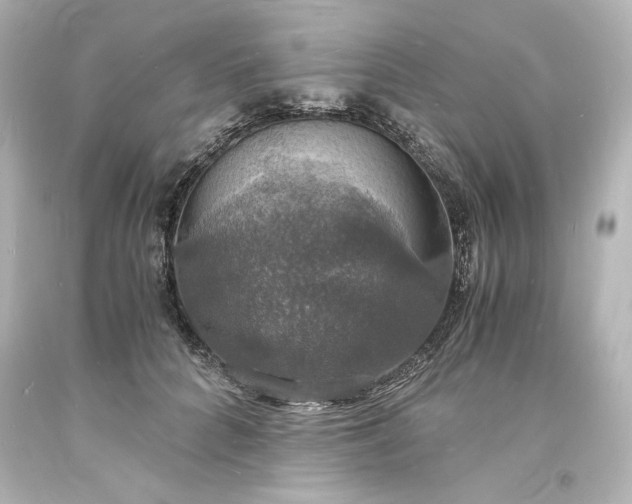 X0000094060704200711021446