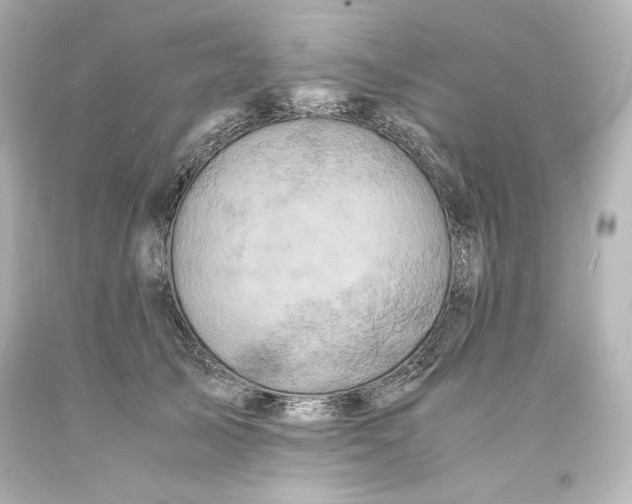 X0000094060705200711021446