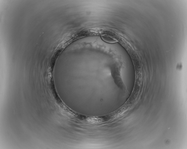 X0000094060707200711021446