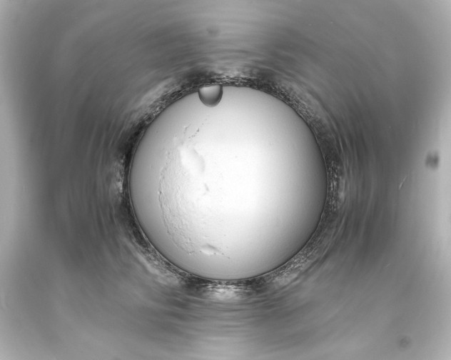 X0000094060710200711021446