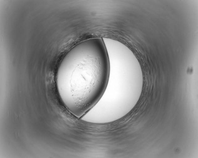 X0000094060711200711021446