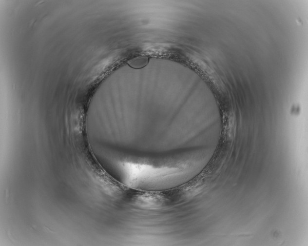 X0000094060712200711021445