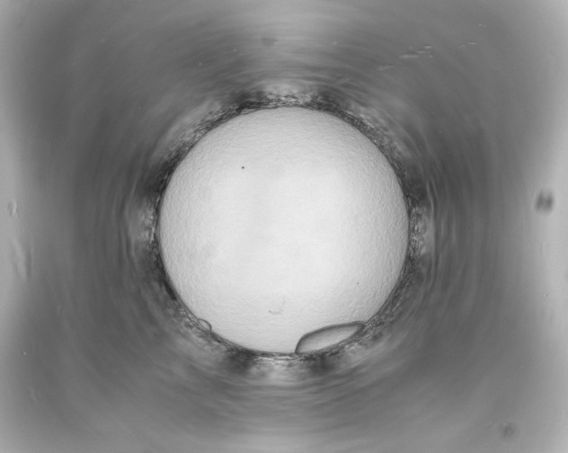 X0000094060713200711021445