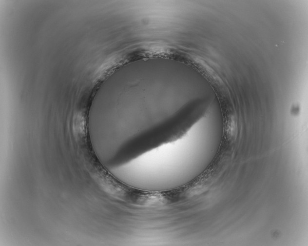 X0000094060715200711021445