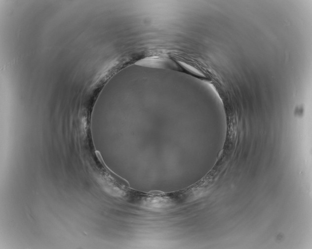 X0000094060716200711021445