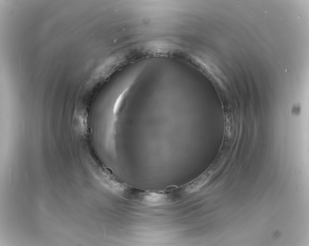 X0000094060718200711021445