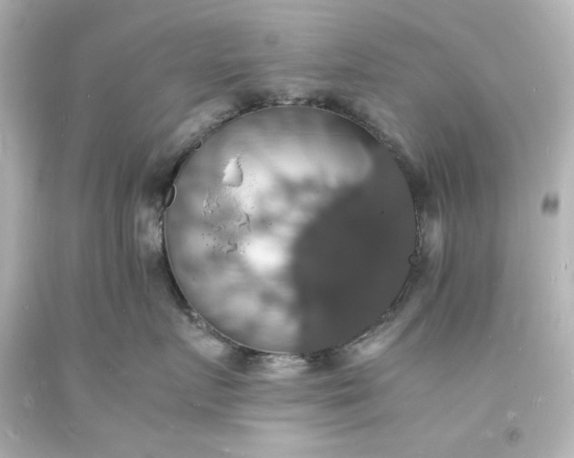 X0000094060719200711021445
