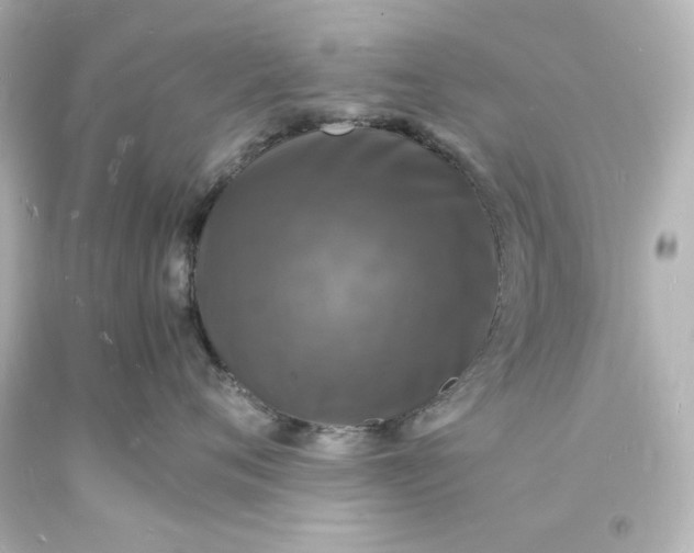 X0000094060720200711021445